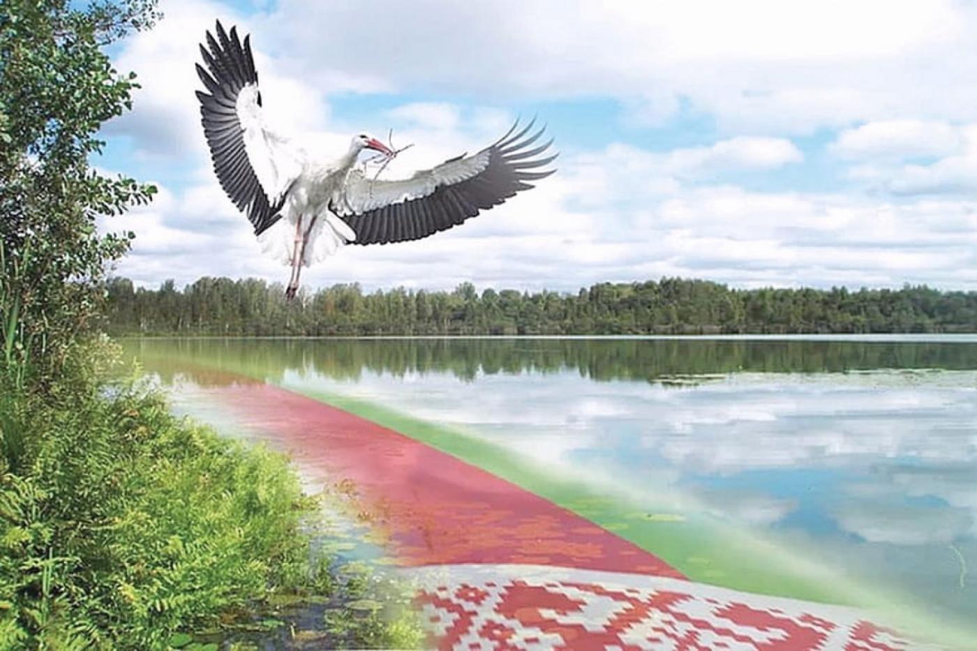 Зямля пад белымі крыламі рисунок